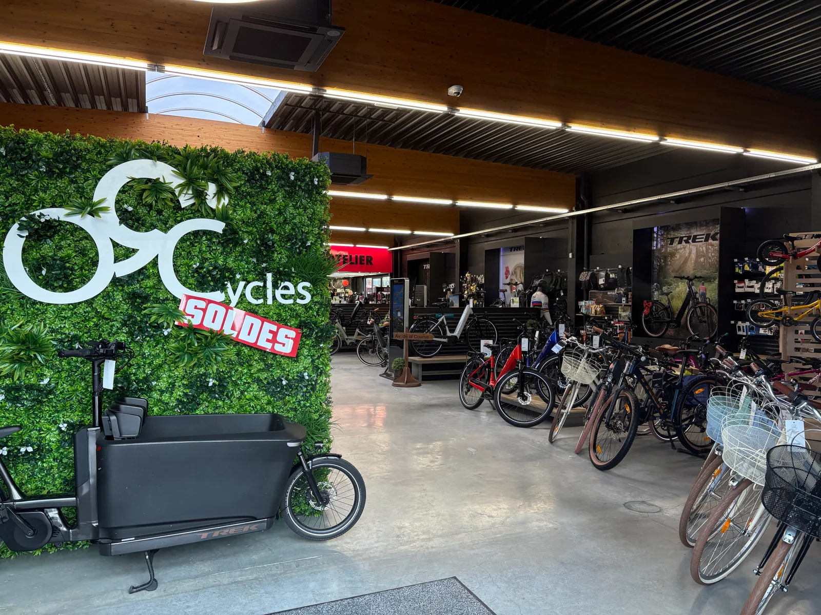 Og Cycles, photo 2