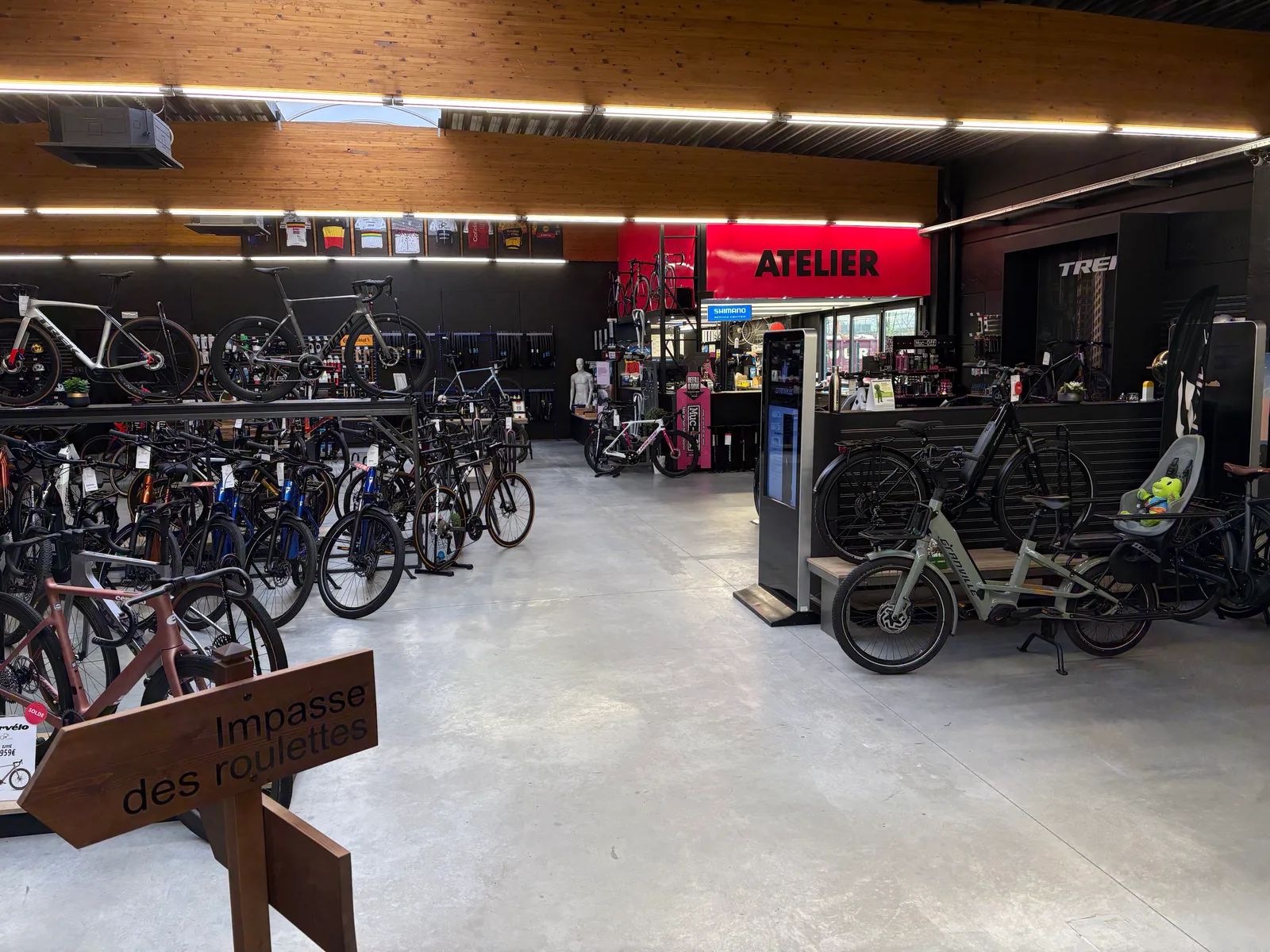 Og Cycles, photo 3