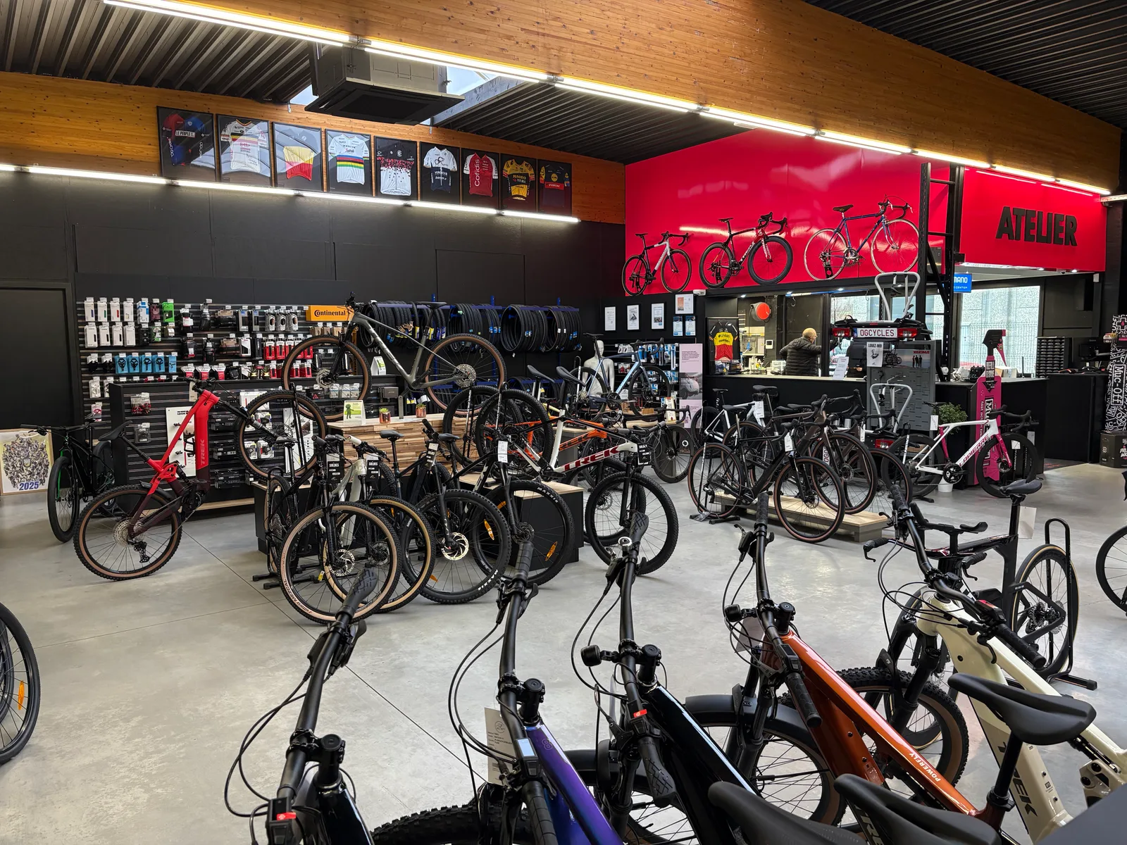Og Cycles, photo 5