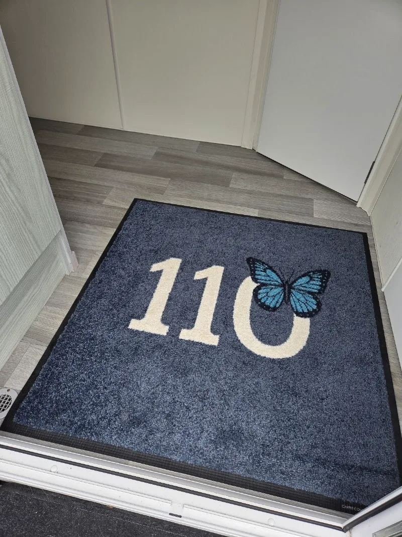 Carpet Concept, photo 3