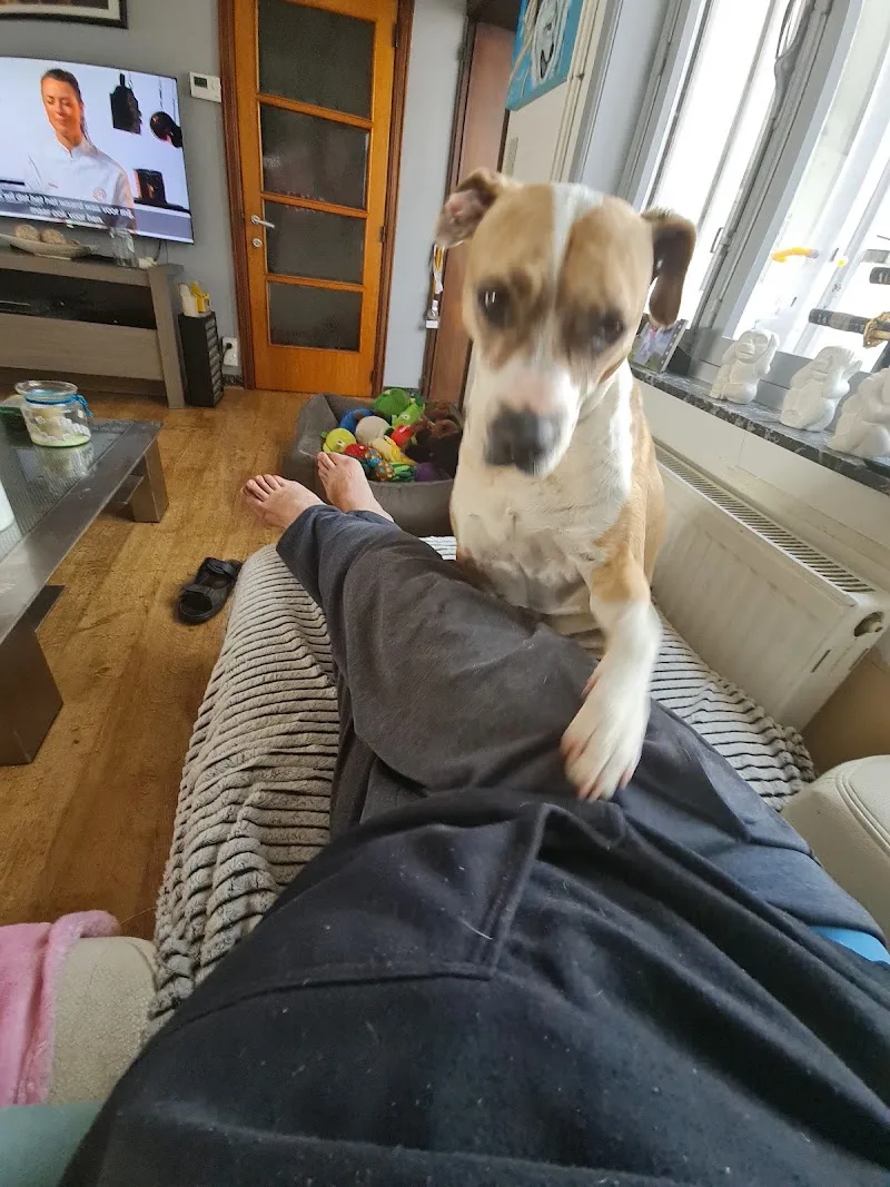 Dierenarts Sabine Talpe